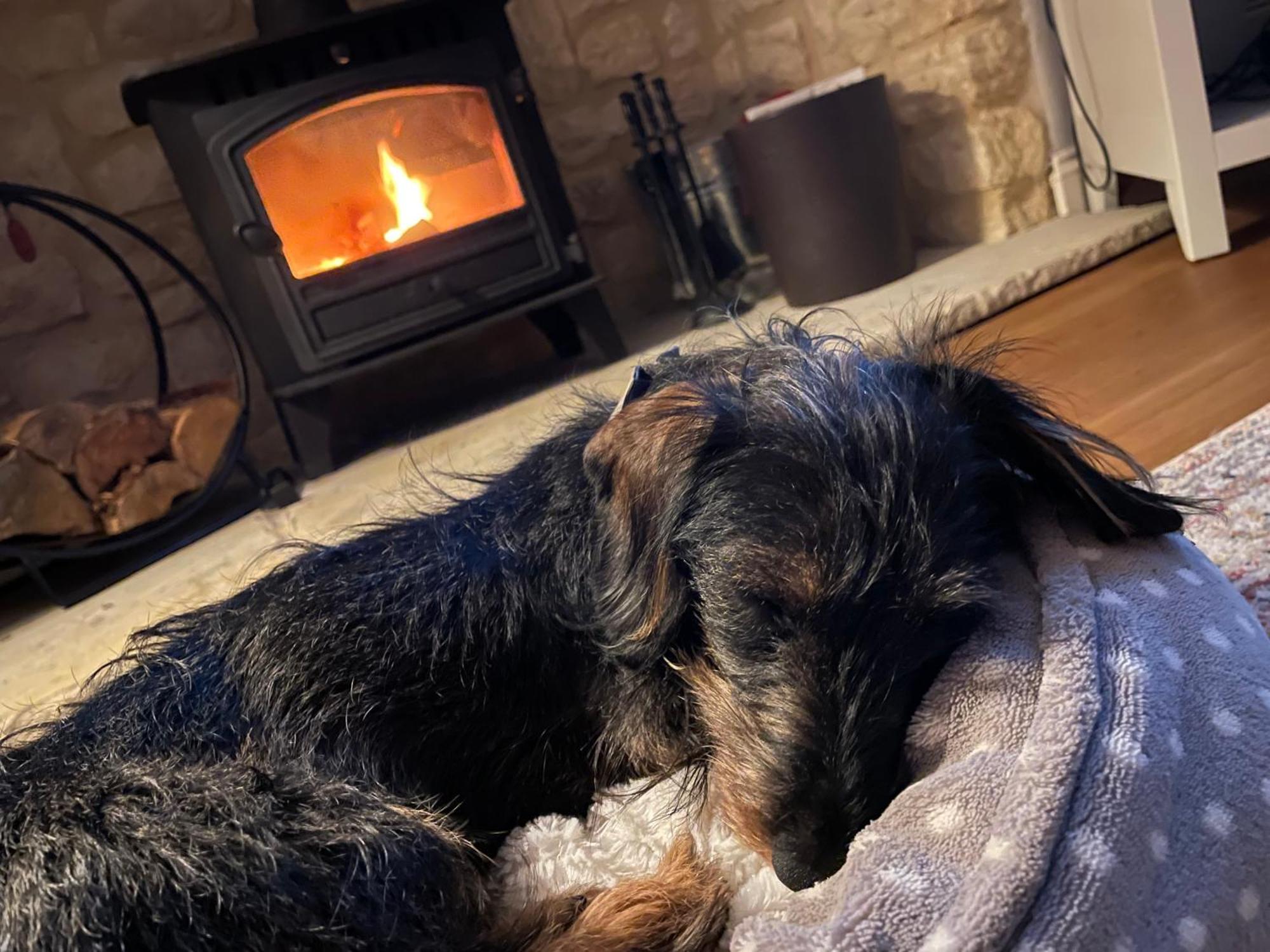 Cosy Cotswold Lodge By Your Home Here - Summer Sale For 3 Plus Nights - Ideal For Families With Log-Burner, Spa, Private Parking And Heated Swimming Pools Ashton Keynes Εξωτερικό φωτογραφία